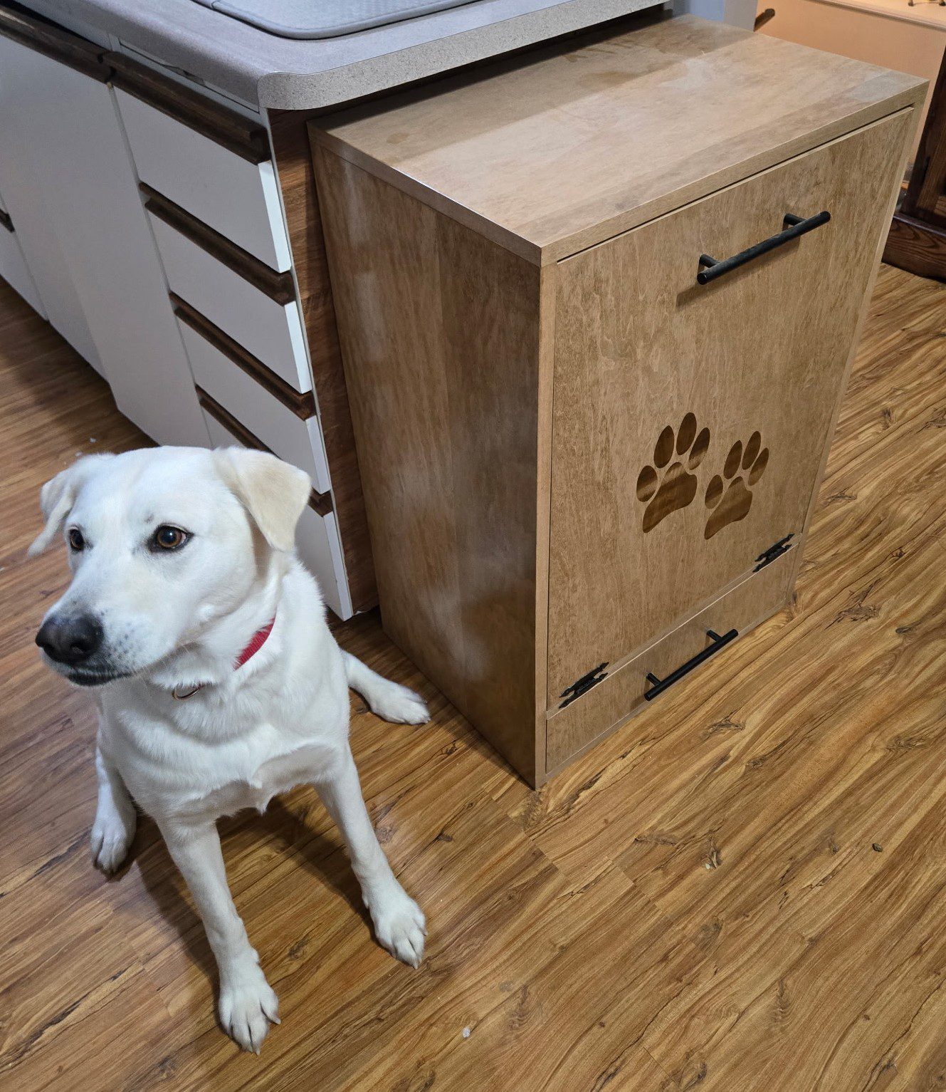 Dog Food Cabinet - Image 2