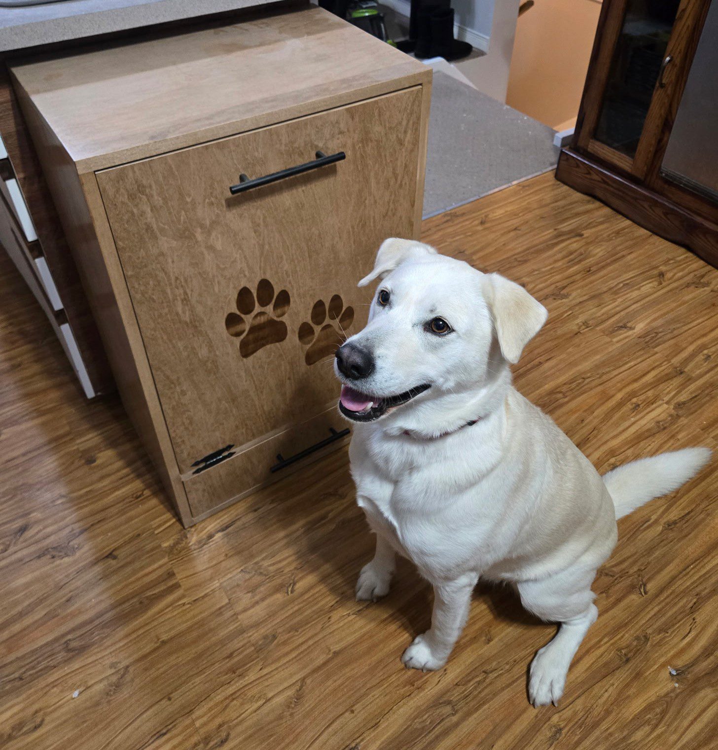 Dog Food Cabinet - Image 4